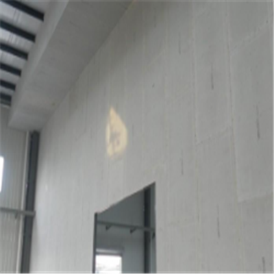 卢龙宁波ALC板|EPS加气板隔墙与混凝土整浇联接的实验研讨